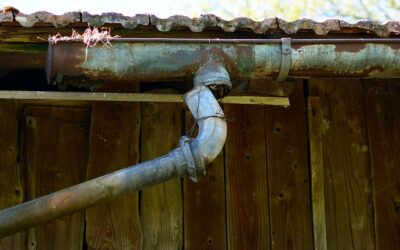 Rain Gutters: Cleaning, Maintenance and Repair Tips for Every Homeowner