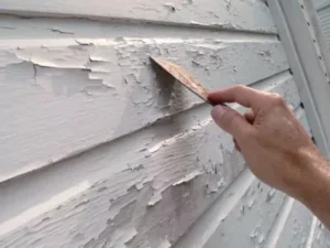 How Often Should I Paint a House?